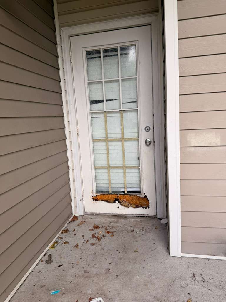 Damaged single entry door before renovation